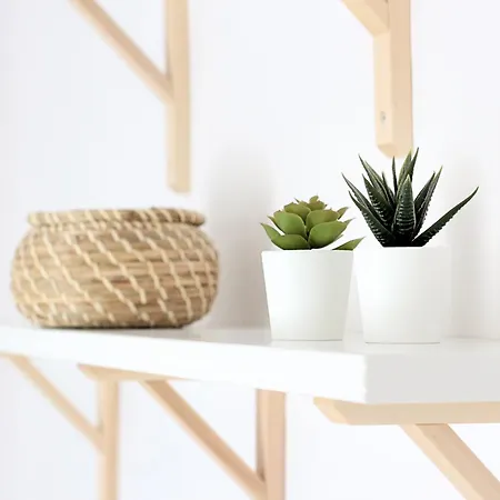 Moderno Al Pie De Pirineos *