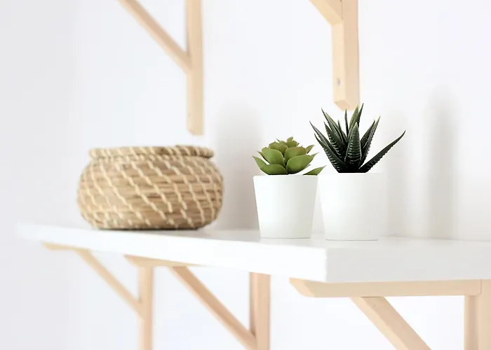 Moderno Al Pie De Pirineos *